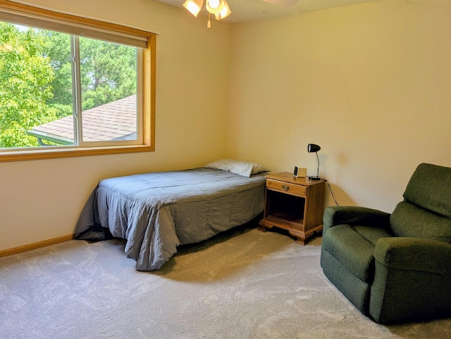 1541 282nd Ln NW, Isanti Twp, MN 55040 - bedroom featuring light colored carpet and baseboards