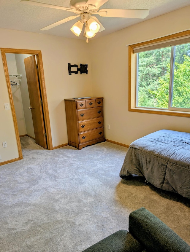 1541 282nd Ln NW, Isanti Twp, MN 55040 - bedroom with carpet flooring, ceiling fan, and a walk in closet