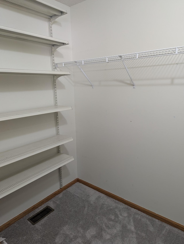 1541 282nd Ln NW, Isanti Twp, MN 55040 - walk in closet featuring dark colored carpet