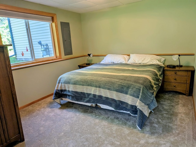 1541 282nd Ln NW, Isanti Twp, MN 55040 - bedroom with electric panel and carpet floors