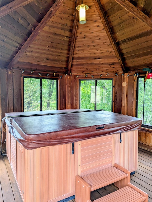 1541 282nd Ln NW, Isanti Twp, MN 55040 - misc room with wood ceiling, light wood finished floors, plenty of natural light, wood walls, and a jacuzzi