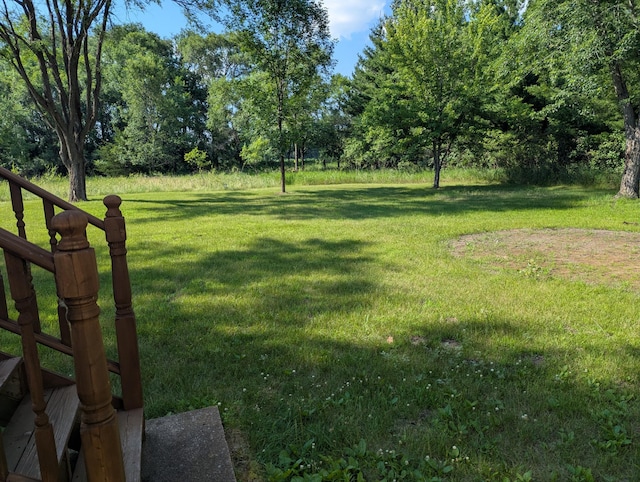 1541 282nd Ln NW, Isanti Twp, MN 55040 - view of green lawn