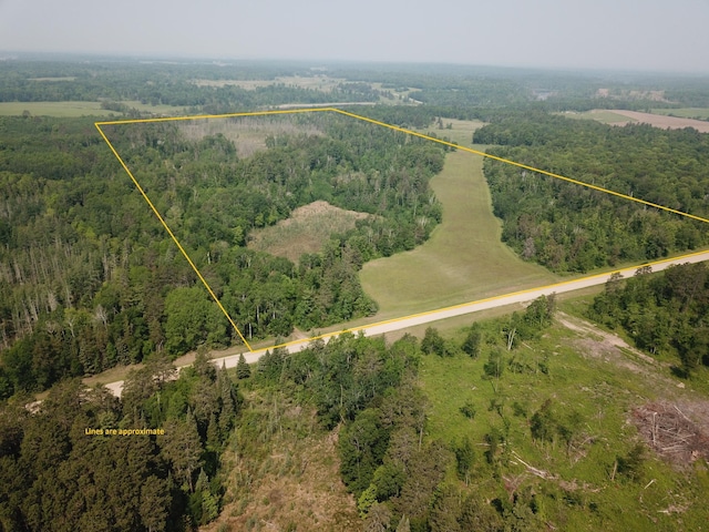 31519 243rd Ave, Moose Creek Twp, MN 56676 - aerial view of property and surrounding area featuring property parcel outlined