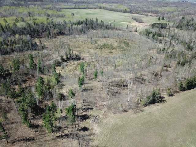 31519 243rd Ave, Moose Creek Twp, MN 56676 - view of property location with rural landscape