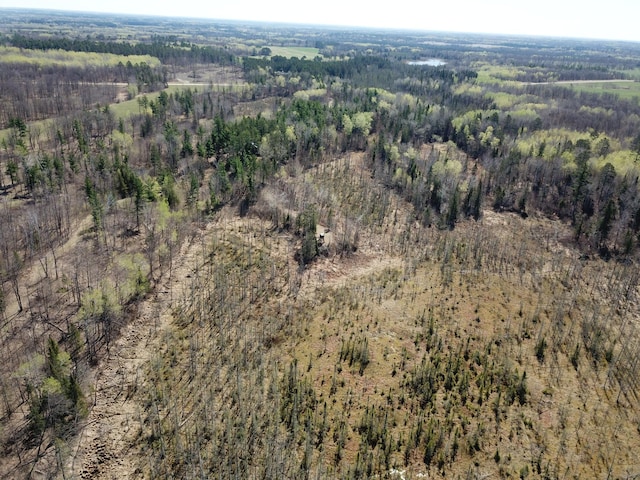 31519 243rd Ave, Moose Creek Twp, MN 56676 - aerial overview of property's location with a heavily wooded area