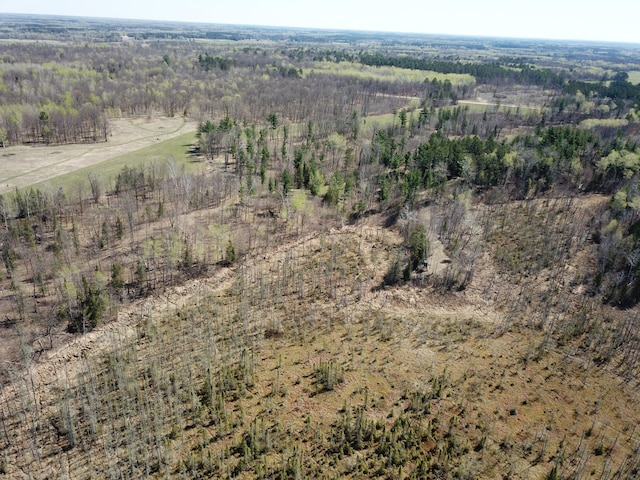 31519 243rd Ave, Moose Creek Twp, MN 56676 - view of property location featuring a forest