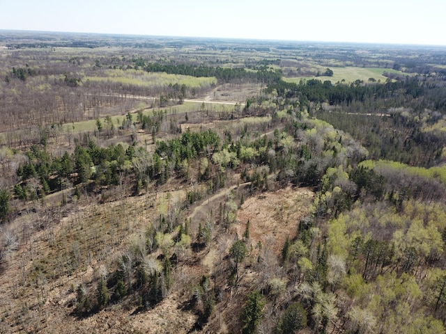 31519 243rd Ave, Moose Creek Twp, MN 56676 - aerial view of property's location featuring a heavily wooded area
