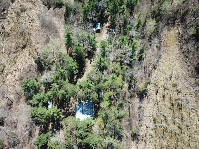 31519 243rd Ave, Moose Creek Twp, MN 56676 - bird's eye view