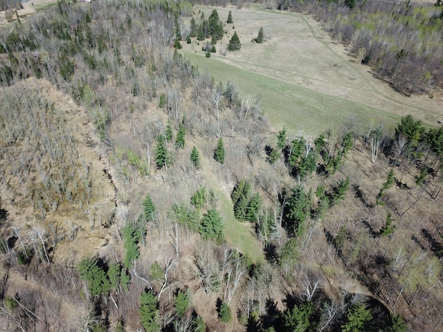 31519 243rd Ave, Moose Creek Twp, MN 56676 - view of property location with rural landscape