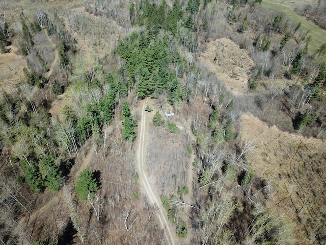 31519 243rd Ave, Moose Creek Twp, MN 56676 - view of property location