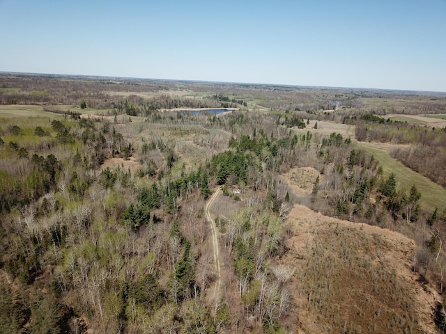 31519 243rd Ave, Moose Creek Twp, MN 56676 - aerial view of property's location with rural landscape