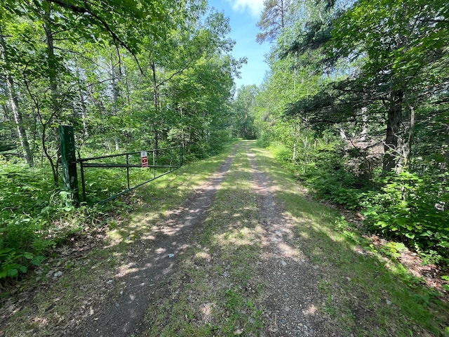 31519 243rd Ave, Moose Creek Twp, MN 56676 - view of street with a forest view