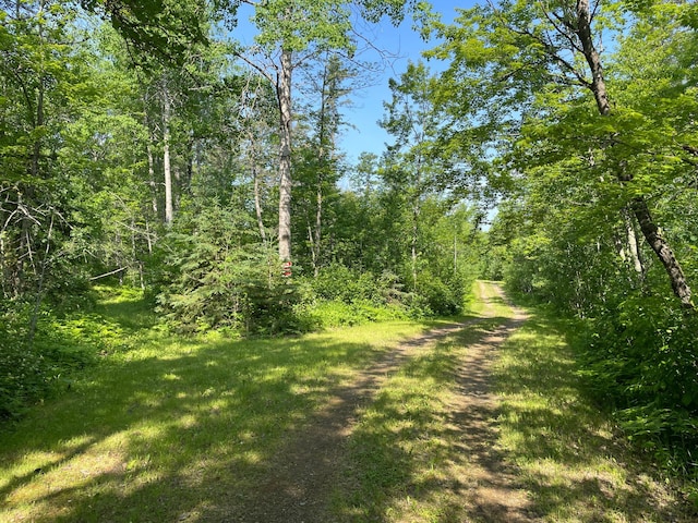 31519 243rd Ave, Moose Creek Twp, MN 56676 - view of yard with a forest view