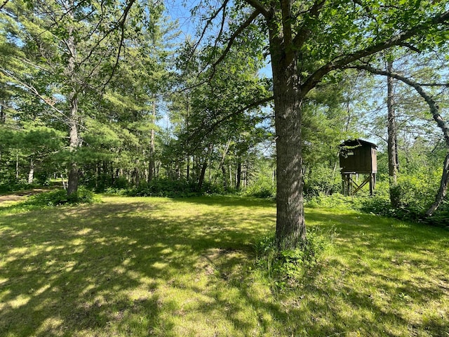 31519 243rd Ave, Moose Creek Twp, MN 56676 - view of grassy yard