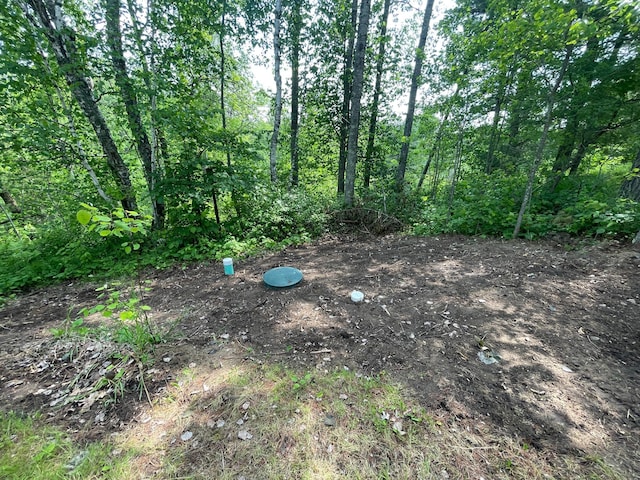 31519 243rd Ave, Moose Creek Twp, MN 56676 - view of undeveloped land