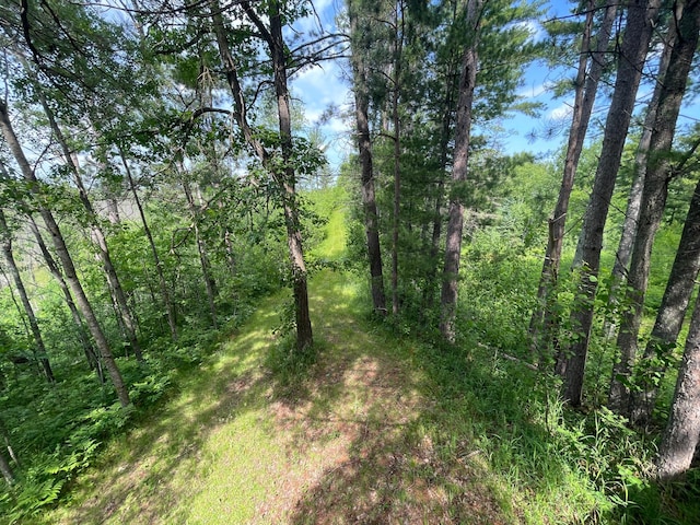 31519 243rd Ave, Moose Creek Twp, MN 56676 - view of woods