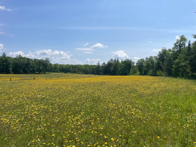 31519 243rd Ave, Moose Creek Twp, MN 56676 - view of woods