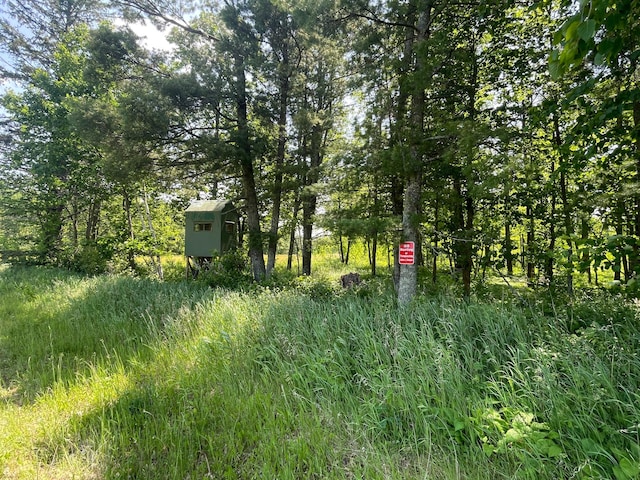 31519 243rd Ave, Moose Creek Twp, MN 56676 - view of undeveloped land