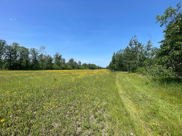 31519 243rd Ave, Moose Creek Twp, MN 56676 - view of yard featuring a view of rural / pastoral area