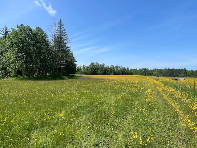 31519 243rd Ave, Moose Creek Twp, MN 56676 - view of yard with a view of rural / pastoral area