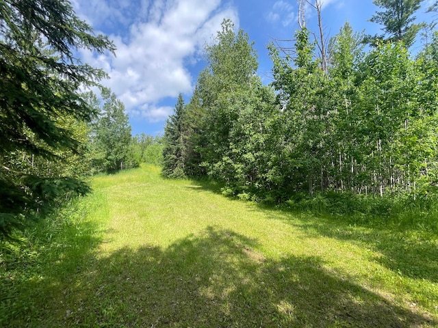 31519 243rd Ave, Moose Creek Twp, MN 56676 - view of yard featuring a wooded view