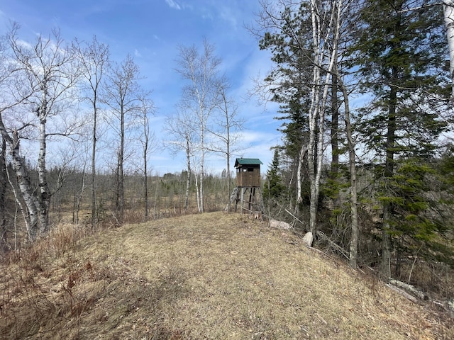 31519 243rd Ave, Moose Creek Twp, MN 56676 - view of yard with a wooded view