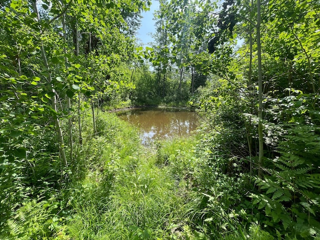 31519 243rd Ave, Moose Creek Twp, MN 56676 - water view