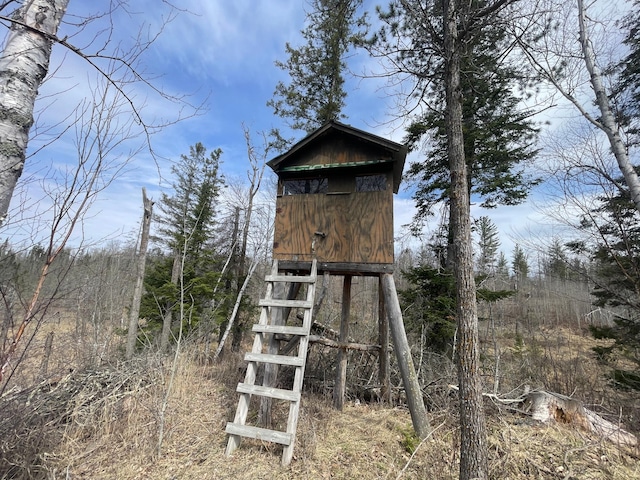31519 243rd Ave, Moose Creek Twp, MN 56676 - view of outbuilding