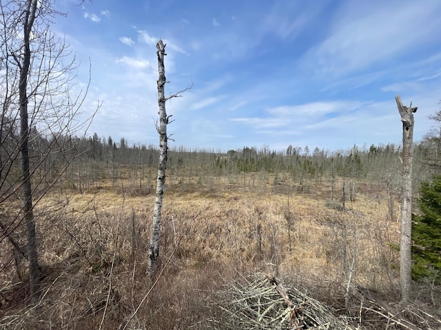 31519 243rd Ave, Moose Creek Twp, MN 56676 - view of nature