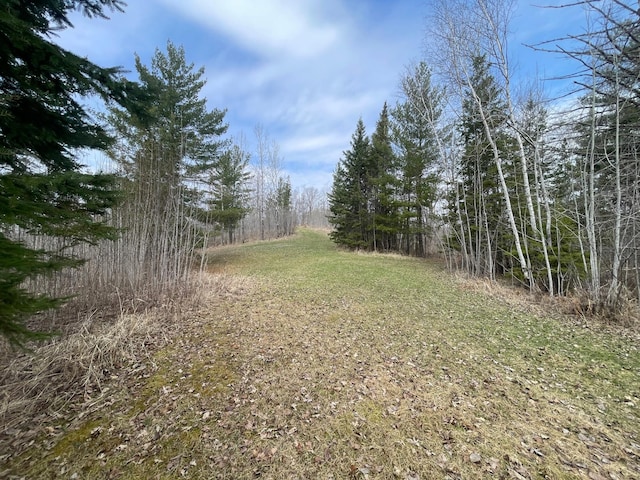 31519 243rd Ave, Moose Creek Twp, MN 56676 - view of yard