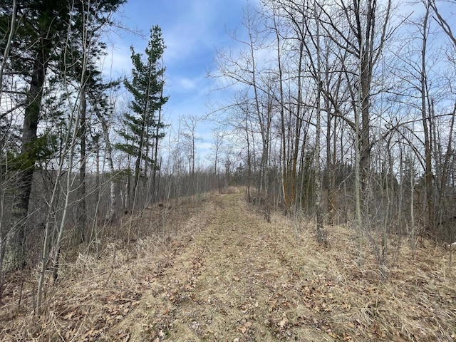 31519 243rd Ave, Moose Creek Twp, MN 56676 - view of wooded area