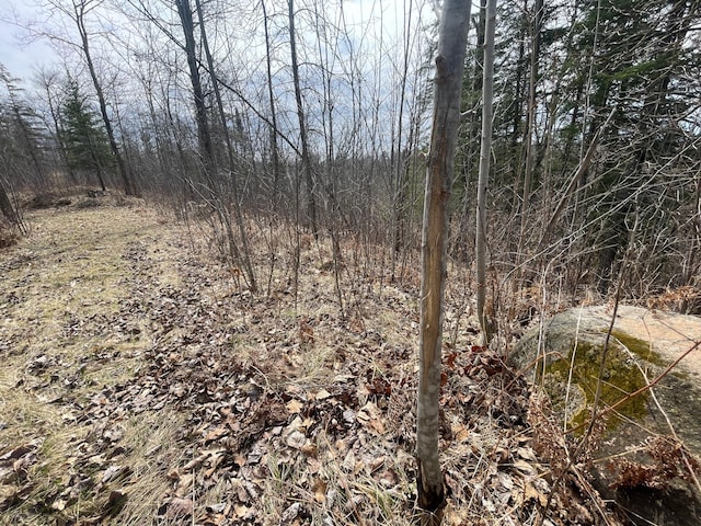 31519 243rd Ave, Moose Creek Twp, MN 56676 - view of woods