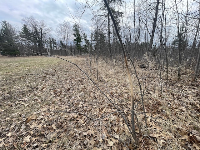31519 243rd Ave, Moose Creek Twp, MN 56676 - view of undeveloped land