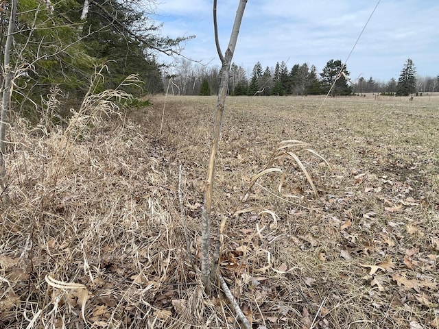 31519 243rd Ave, Moose Creek Twp, MN 56676 - view of nature