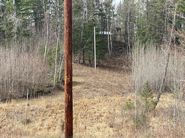 31519 243rd Ave, Moose Creek Twp, MN 56676 - view of undeveloped land