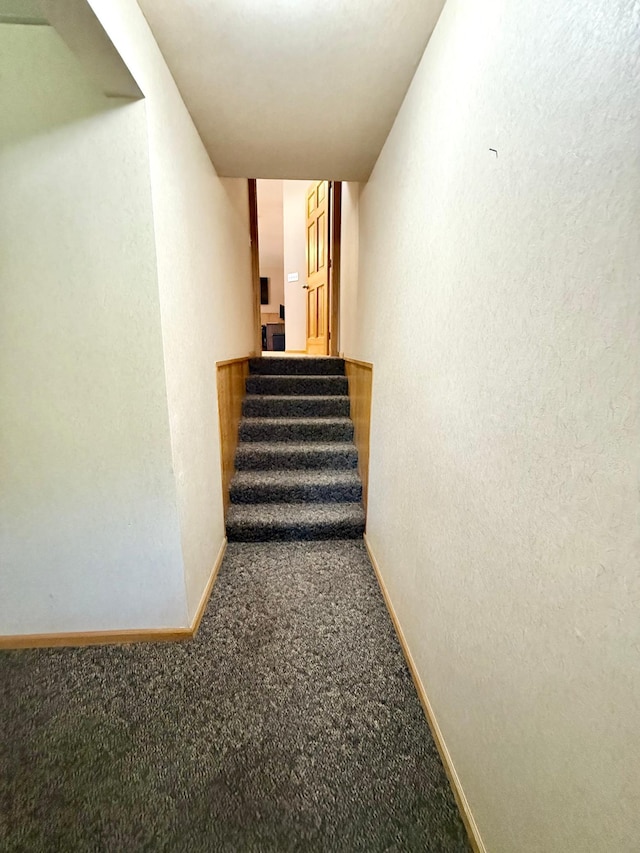 1978 Neal St, Red Wing, MN 55066 - photo 54