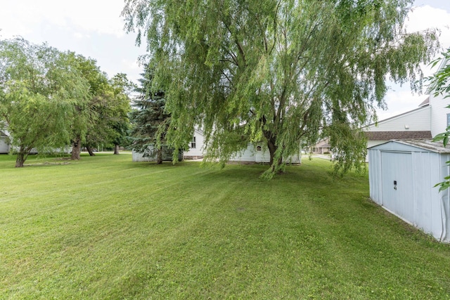 218 Main St, Cyrus, MN 56323 - photo 8