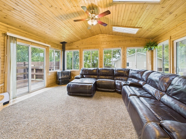 716 Lokken Dr, Cyrus, MN 56323 - photo 8