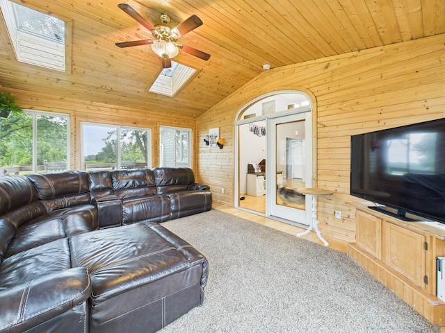 716 Lokken Dr, Cyrus, MN 56323 - photo 9
