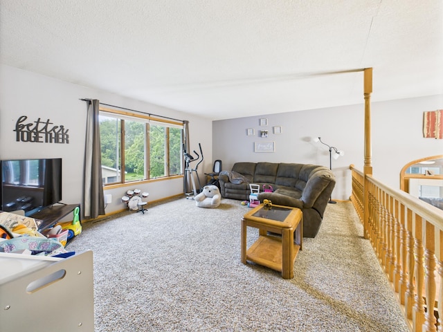 716 Lokken Dr, Cyrus, MN 56323 - photo 13