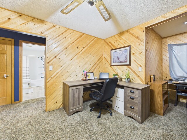 716 Lokken Dr, Cyrus, MN 56323 - photo 16