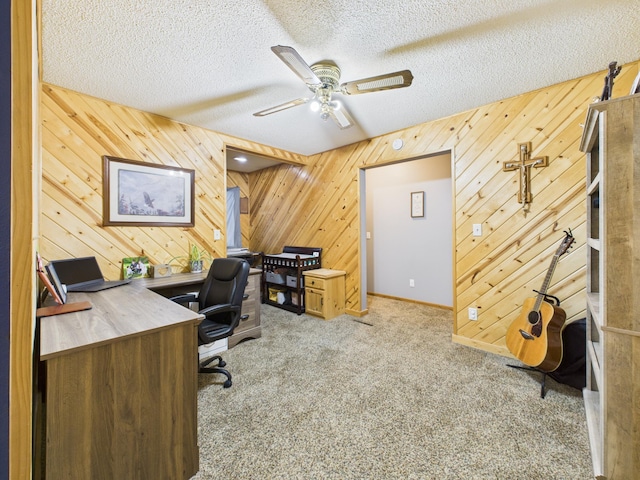 716 Lokken Dr, Cyrus, MN 56323 - photo 17