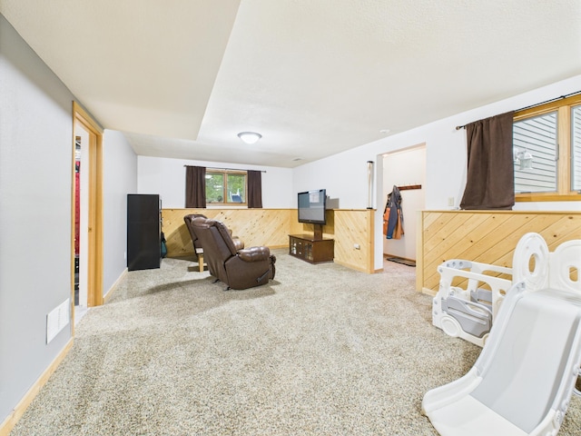 716 Lokken Dr, Cyrus, MN 56323 - photo 18
