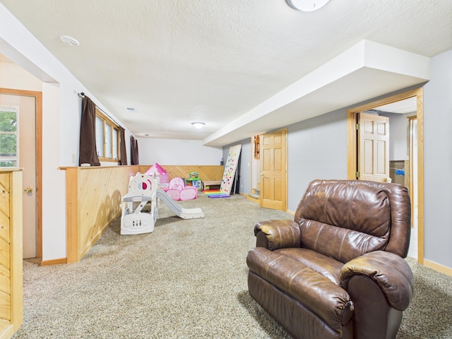 716 Lokken Dr, Cyrus, MN 56323 - photo 19