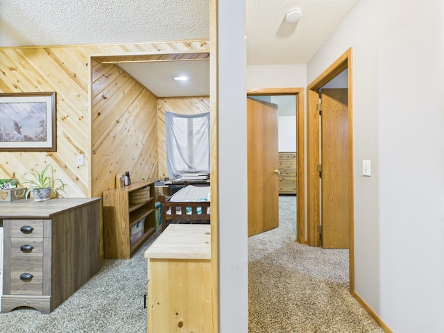 716 Lokken Dr, Cyrus, MN 56323 - photo 25