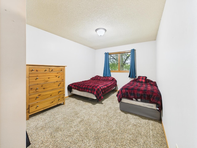 716 Lokken Dr, Cyrus, MN 56323 - photo 27