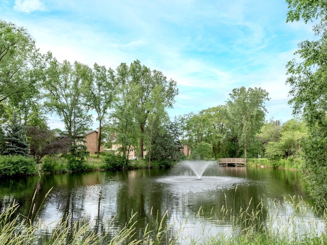 10 Windsor Ct Unit 205, New Brighton, MN 55112 - water view