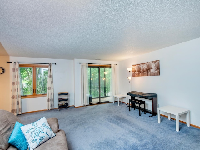 10 Windsor Ct Unit 205, New Brighton, MN 55112 - carpeted living area with a textured ceiling and plenty of natural light