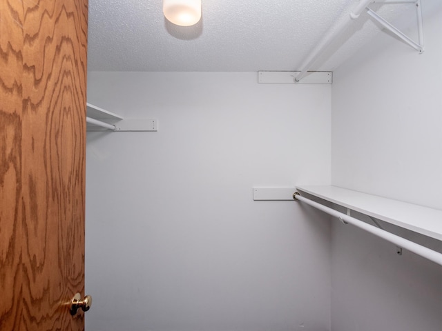 10 Windsor Ct Unit 205, New Brighton, MN 55112 - view of spacious closet
