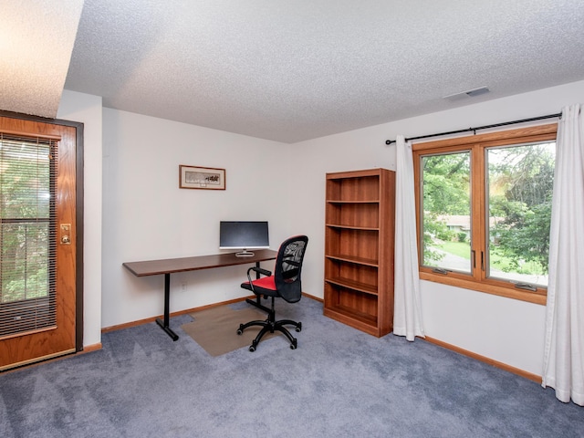 10 Windsor Ct Unit 205, New Brighton, MN 55112 - carpeted home office with a textured ceiling and baseboards